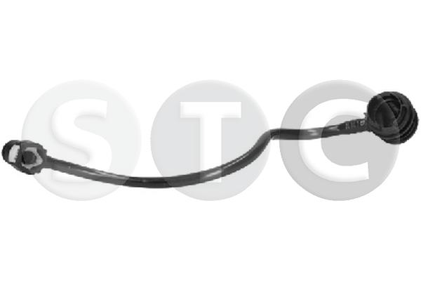 T494825