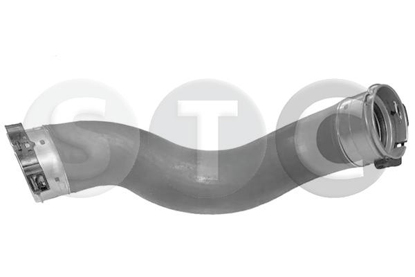 T498481