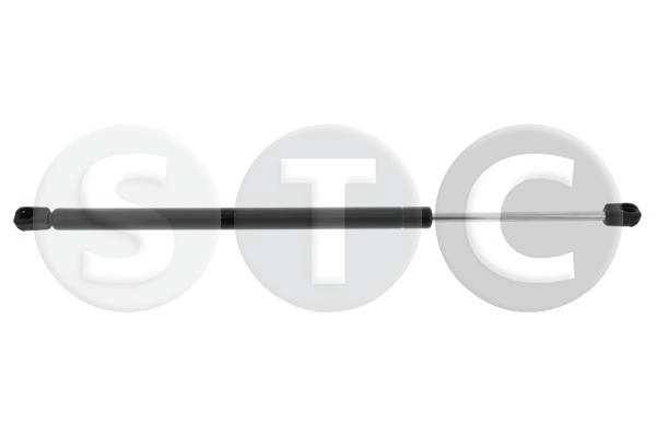 T446536