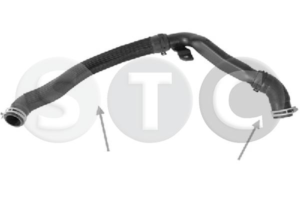 T494823