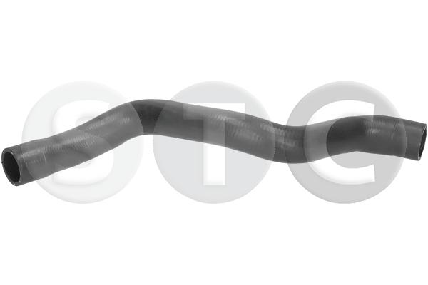T494562