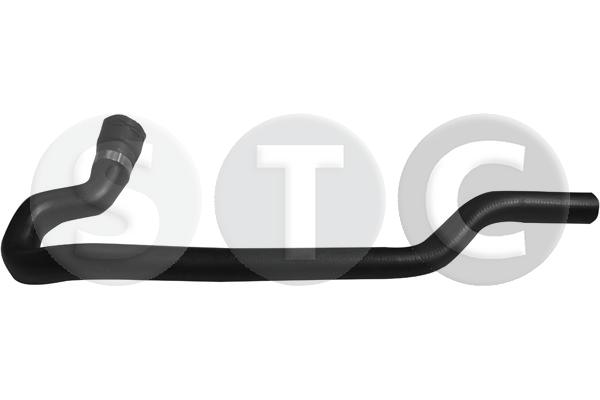 T497856