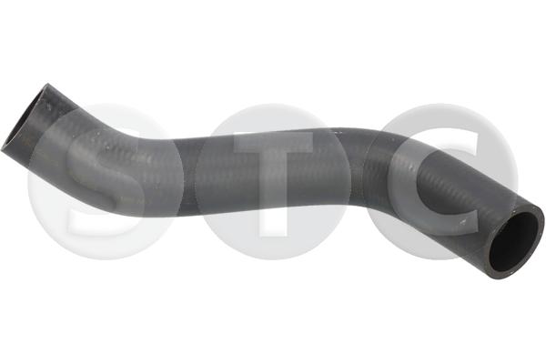 T494954