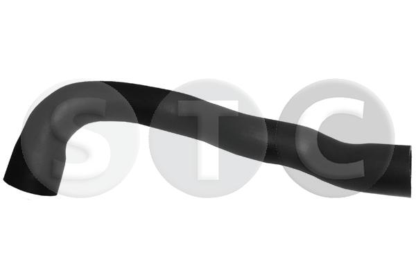 T409813