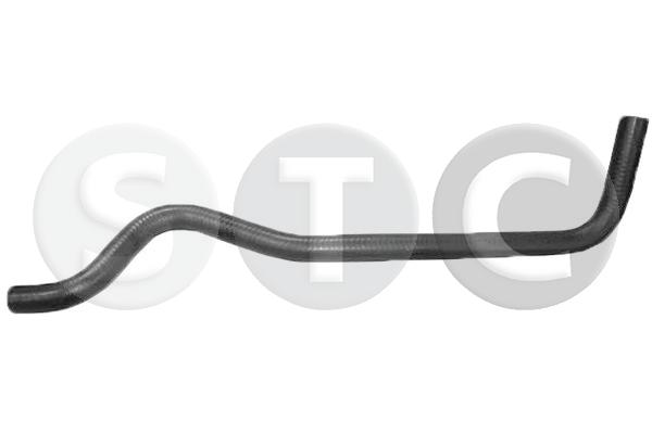 T498556