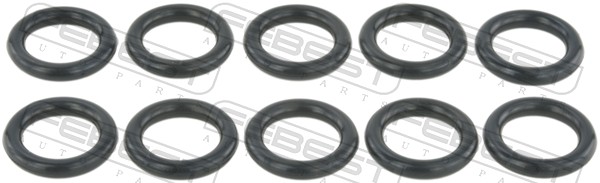 RINGAH-021-PCS10