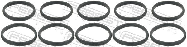 RINGWH-016-PCS10