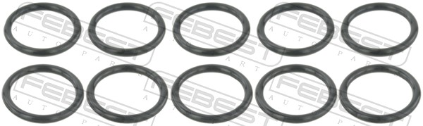 RINGAH-017-PCS10