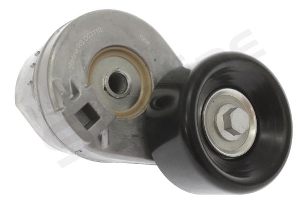 RS D03110