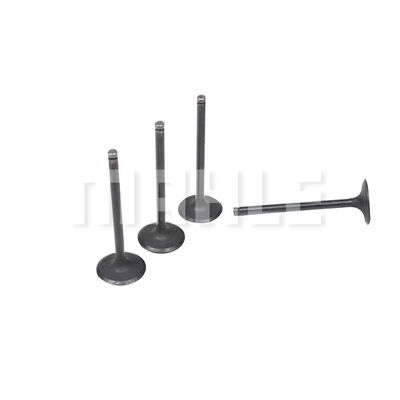 VA0181703