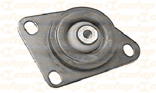 CXC03107