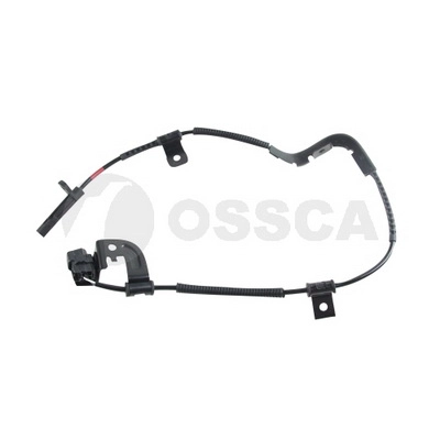 36677