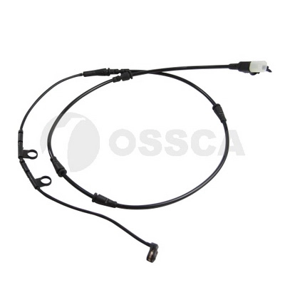 24558