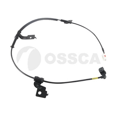 65307