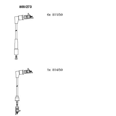 800273