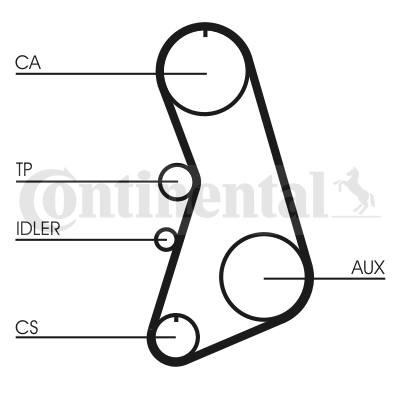 CT919