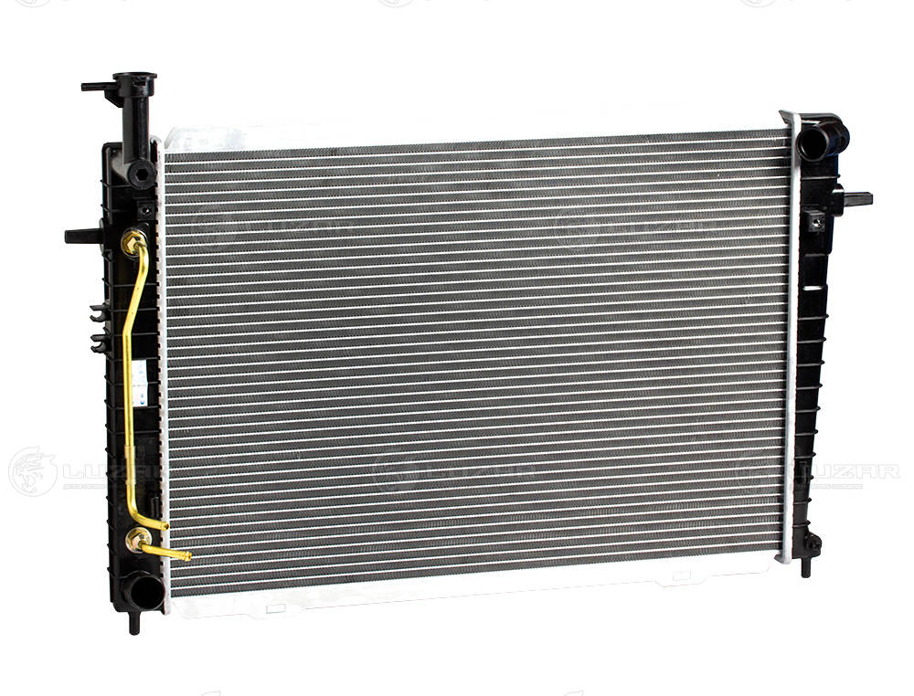 LRc KISt04380