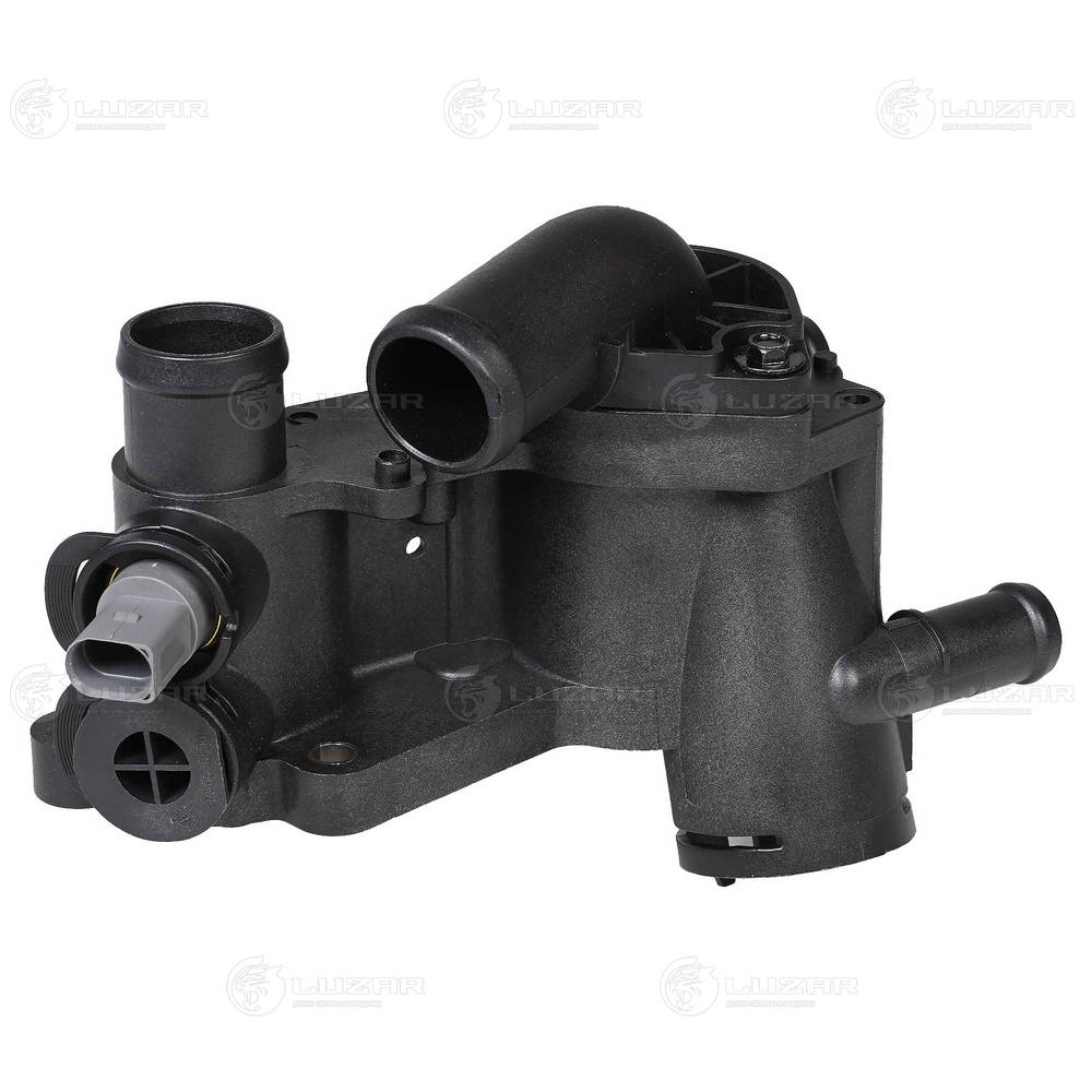 LT 1804