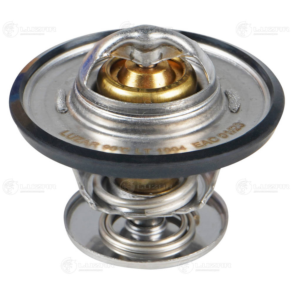 LT 1004
