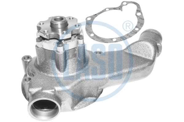 20200146A