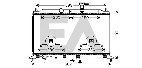 31R36081