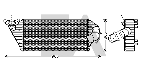 36A60006