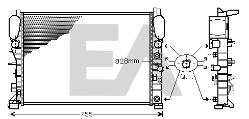31R50169