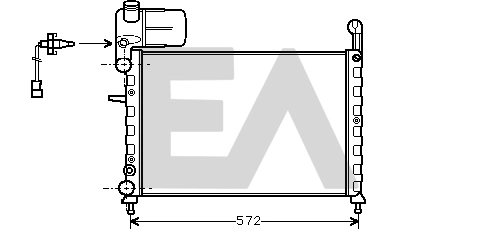 31R25021