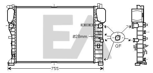 31R50181