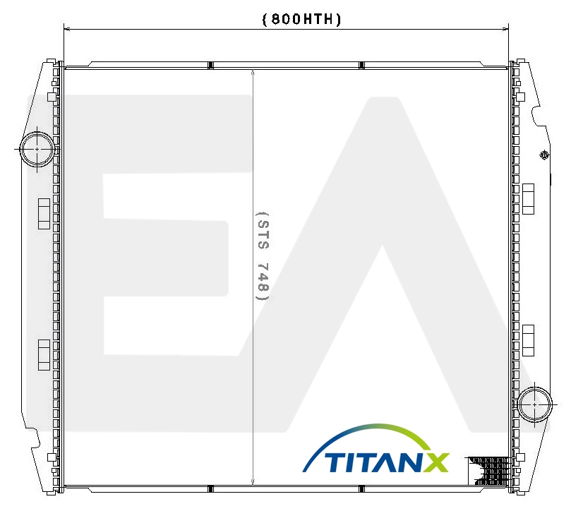 31R30061T