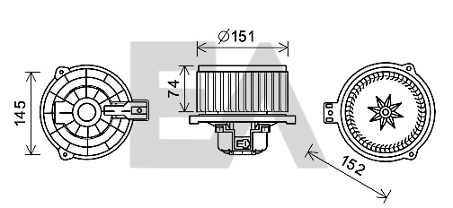 42A36019