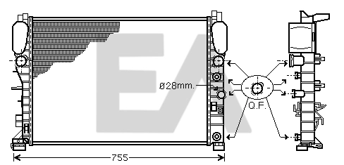 31R50168