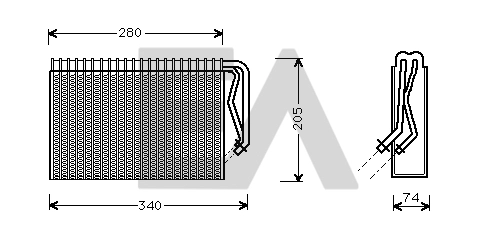 43B54006