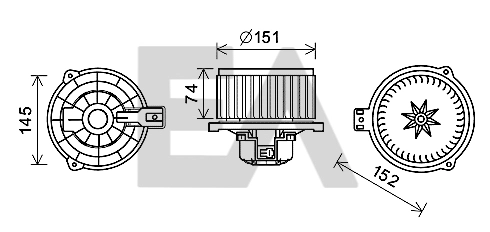 42A28019