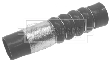 BTH1301