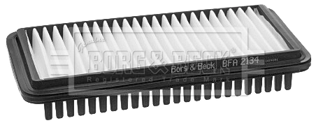 BFA2134