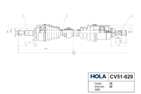 CV51-029