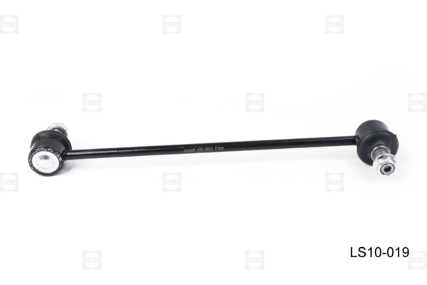 LS10-019