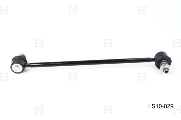 LS10-029