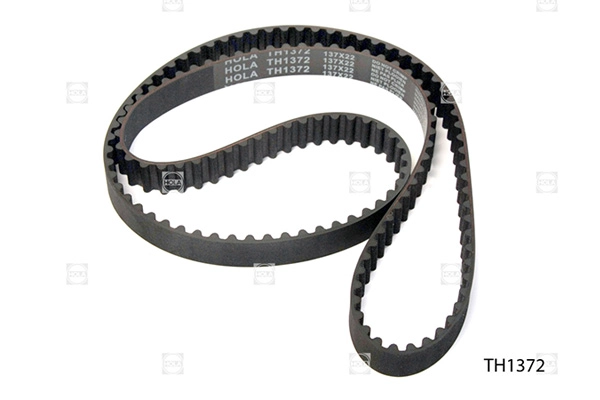 TH1372