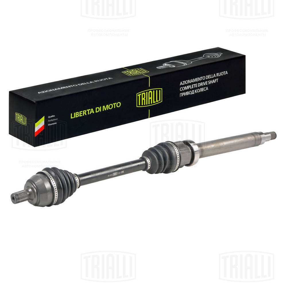 AR 1010