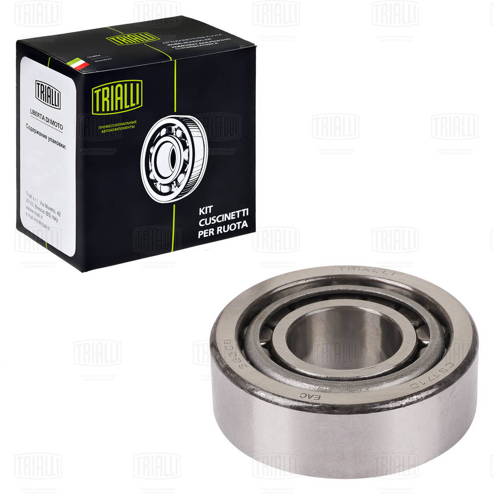 CS 1710