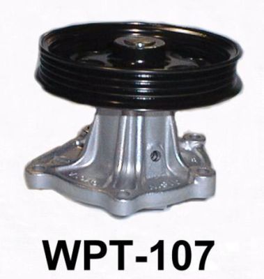 AIS-WPT107