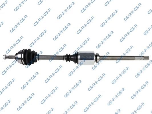 GSP-250268