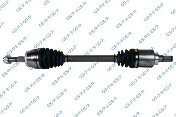 GSP-204155