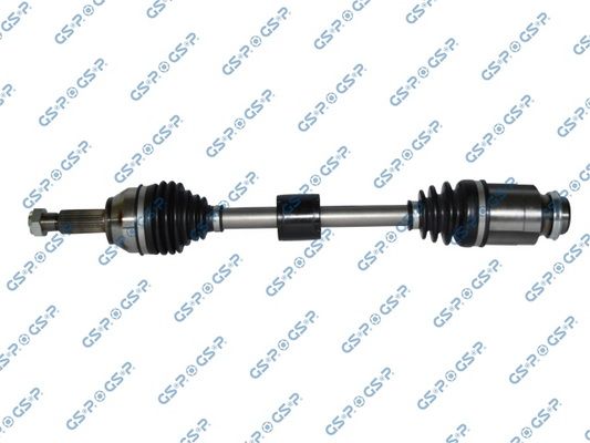 GSP-218424