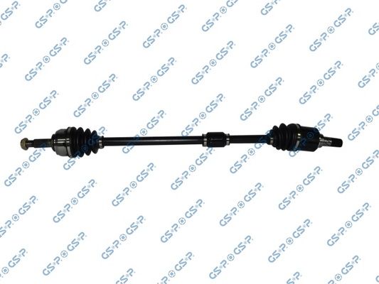 GSP-241261