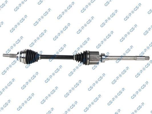 GSP-203881