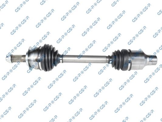 GSP-257281