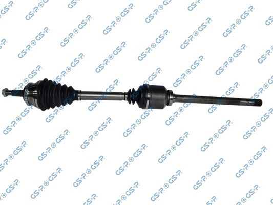 GSP-250296